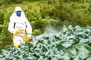 Read more about the article About Pesticides