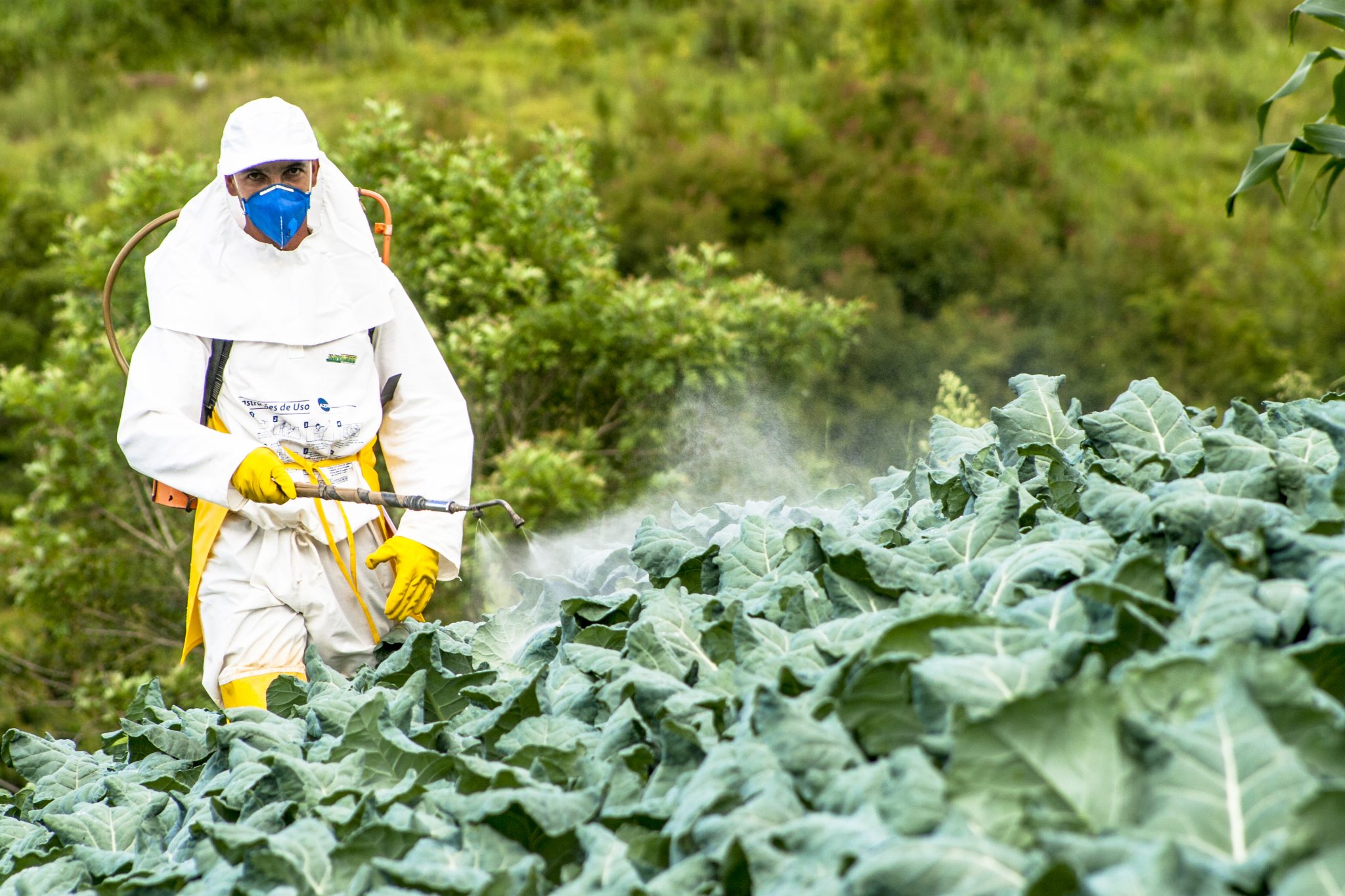 Read more about the article About Pesticides